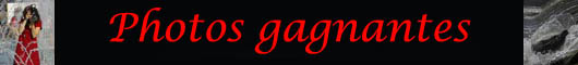 Photos qui ont re�ues un prix dans des concours.